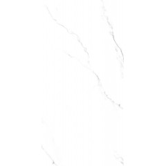 特地·负离子瓷砖现代简约TDMF02260120PS(亮光) 卡拉布白