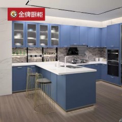 G3（2020新品）金牌厨柜整体橱柜定制柔光国风烤漆