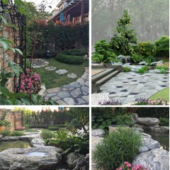 深圳丹迪区域 菲尔德景观 自然式庭院