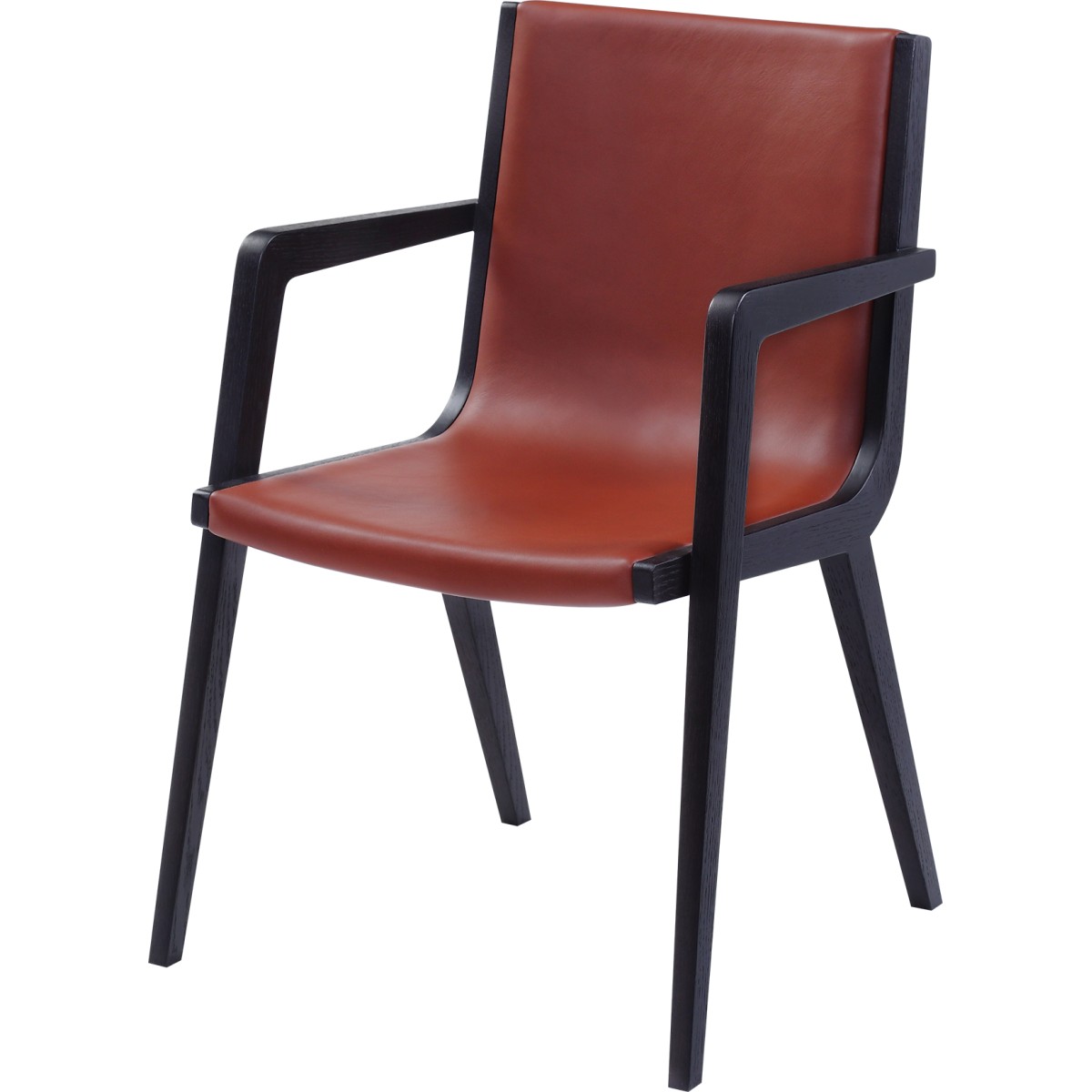拉菲德堡-BV-餐椅B124A24101L-MR01+K193
