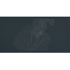 格莱美-熊07独幅刺秀珊瑚世纪+盛事梦回