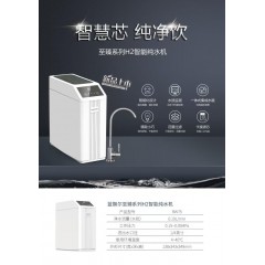 美国原装进口蓝飘尔中央净水系统